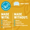 Carvida Vinegar Cleaner, Plant-Based, Multi-purpose Automotive Cleaning Spray, Natural Mint