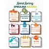 Spiral Spring Espirulina Orgánica + Quinoa y Cocoa 100% Natural,