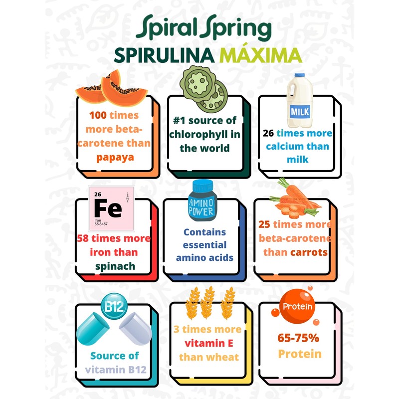 Spiral Spring Espirulina Orgánica + Quinoa y Cocoa 100% Natural,