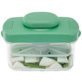 Instant Pickle Maker Vegetable Press Tsukemono Container Rectangle Made in Japan BPA Free (Green 2.2L)