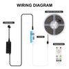 Smart Dual IC RGBCCT COB Strip with Controller Power Adapter