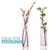 Tuuters.de Vase Insert 6 Pieces, Test Tube Vase, Ideal for