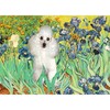 CafePress Irises/Poodle (W) Throw Blanket Super Soft Fleece Plush Throw