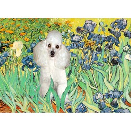 CafePress Irises/Poodle (W) Throw Blanket Super Soft Fleece Plush Throw Blanket, 60"x50"