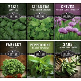 Hydroponic Herb Seeds for Indoor Garden | 6 Variety Pack – Peppermint, Curled Parsley, Cilantro, Basil Genovese, Chives, Sage – Heirloom Non-GMO Culinary Seed Collection – Survival Garden Seeds