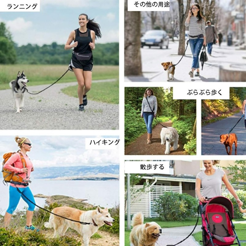 Dog Leash for Medium and Large Dogs Running Leash Hands