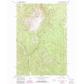YellowMaps Lost Trail Pass MT topo map, 1:24000 Scale, 7.5 X 7.5 Minute, Historical, 1966, Updated 1989, 26.8 x 22 in - Tyvek