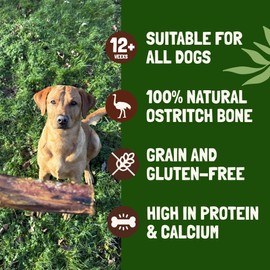 Ostrich Bones for Dogs Metatarsus 100% Natural Long-Lasting Dog Chew 2 Pack