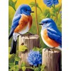 Yomiie 5D Diamond Art Painting Kits Bird Full Drill by