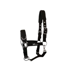 JF-Reitsport Unisex - Adult Nylon Holder Med Blødt Fleece Underlay, 3-Vejs Adjustable AF Jf Ridning Sport Headcollar, Green, Cob EU