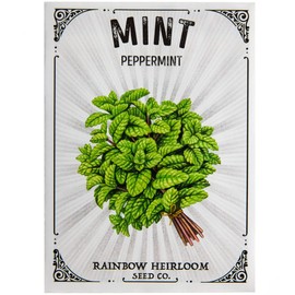 Peppermint Seeds for Planting | Common Variety (150mg Packet - Approx 1,800 Seeds) | Non-GMO & Heirloom Seeds | Illustrated Seed Packet with Growing Instructions by Rainbow Heirloom Seed Co.
