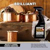 Flitz Flitz Instant Brass & Copper Tarnish Remover - 16.