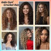 8 Packs GoGo Curl Crochet Hair 14 Inch Curly Crochet