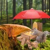 Squirrel Feeder Picnic Table for Animal Bench Feeder Lovers Gifts