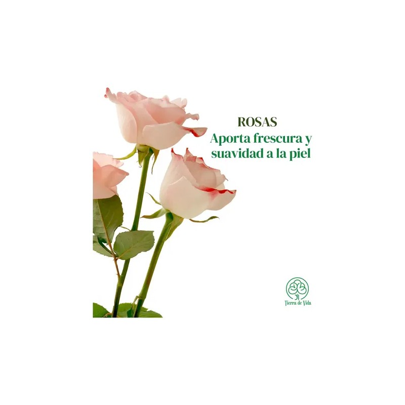 Tónico Facial Rosas Hidratante Y Refrescante Piel 120ml Todo Tipo