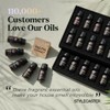 Lagunamoon Premium Essential Oils Set,Top 20 Pure Natural Aromatherapy Oils