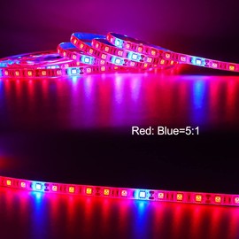 Tesfish LED Plant Grow Strip Light IP65 Waterproof Full Spectrum SMD 5050 Red Blue 5:1 Rope Light DC 12V for Aquarium Greenhouse Hydroponic Plant