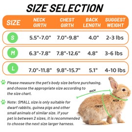 Rabbit Harness and Leash for Walking Escape Proof - Cute Carrot Pattern Mesh Breathable Bunny Vest Harness Outdoor Camping Hiking Training - Also Suit for Ferret Kitten Puppy Small Animals