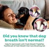 TropiClean Fresh Breath TripleFlex Toothbrush for Small & Medium Dogs