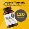 Taka Turmeric, 120 Caps Organic Turmeric with Black Pepper Extract