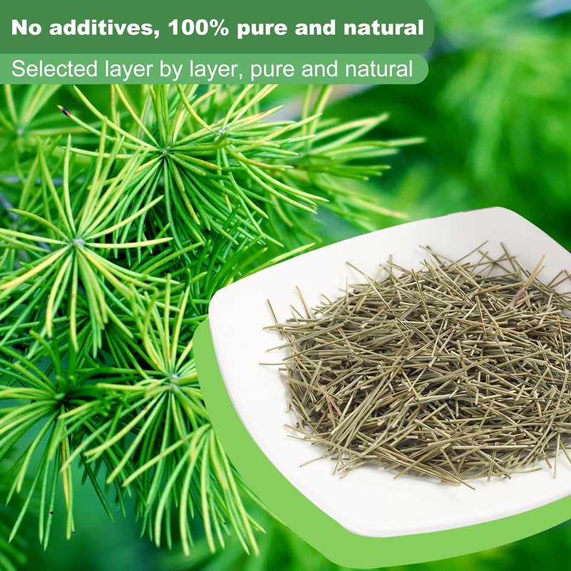 KASVAN Organic Pine Needle Tea (8.8 oz) - White Pine