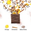 50 Premium Decaf Coffee Bags by Dualit - Compostable Coffee