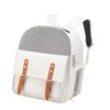 Pet Carrier Backpack Breatheable Mash Pet Carrying Bag Waterproof Portable