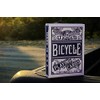 Bicycle USPCC Chainless Playing Cards (Blue) Edition Poker Collection Deck