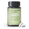 Zesty Nutrition Recuperación Intestinal Prebióticos Probióticos Postbióticos Enzimas Hinchazón Digestión