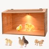 Brooder Box for Chicks, Chicken Brooder Box, Poultry Brooder with