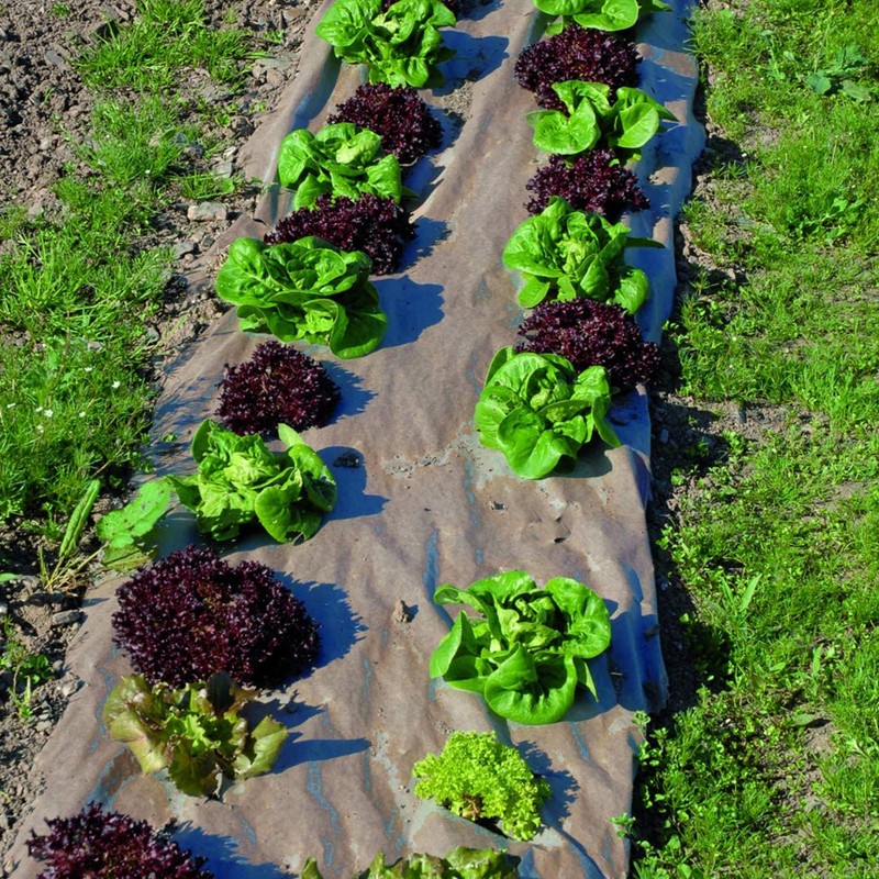 DeWitt Garden Weed Barrier Natural Paper Mulch, Black, 3 x