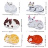 Cute Cat Paw Hair Clips – Cute Hair Accessories for