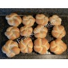 SanFranSourdough California SOUR STARTER tangy active strong Sourdough bread Organic