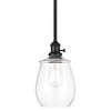 Linea di Liara Arenza Matte Black Pendant Light Fixture Farmhouse
