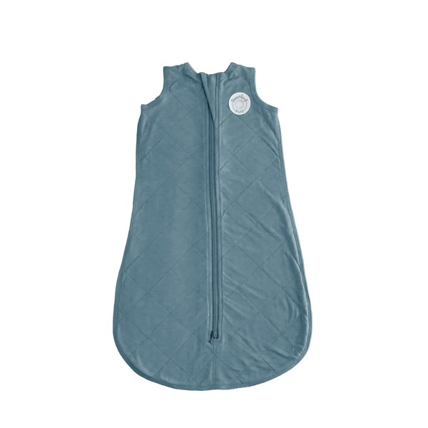 DREAMLAND BABY Bamboo Viscose Sleep Sack (12-24 Months). Ultra Soft