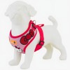 Arnés Pechera Ajustable Antitirones Para Perro Chico Mediano Kitty 4