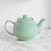 Pastel Mint Green 2 Cup Stoneware Teapot 450ml Eclectic Cafe