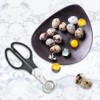 XINMEIWEN Quail Egg Cutter Stainless Steel Scissors Quail Pigeon Egg