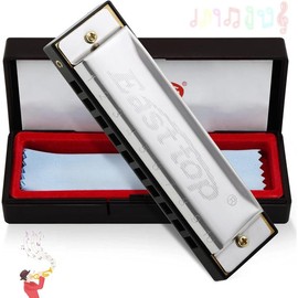 Harmonica, C Key Blues Harmonica for Beginners and Adults, 10 Holes Mouth Organ Blues Harp Diatonic Harmonica For  and Teenagers, Students as - Color: silver