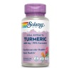 Suplemento Solaray Cúrcuma De 100g X 30 Un