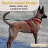 Dog Safety Collar Clip – Waterproof Backup Connector with Dual