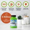 Daily's L Salivarius Probiotic Supplement 120 Capsules Vegan Gluten Free