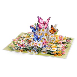 CUTPOPUP Daisy Butterflies Card Mother's Day, Birthday Card, Female Birthday Card, Mother's Day Card, Wedding Anniversary Card (Daisy Butterflies) US8SD225DE