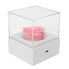 Rose Night Light Romantic Small USB Charging Soft Brightness Decoration