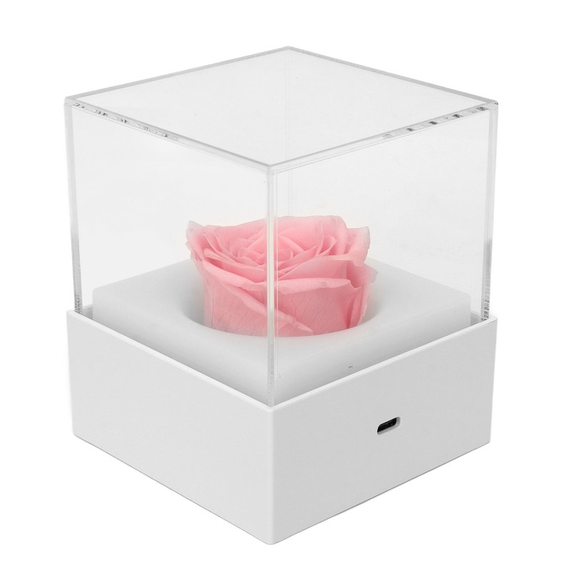 Rose Night Light Romantic Small USB Charging Soft Brightness Decoration