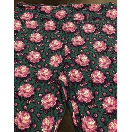 Lularoe TC2 Tall Curvy Leggings Plus 18+ Green Purple Blush Roses 2X Unicorn 🦄