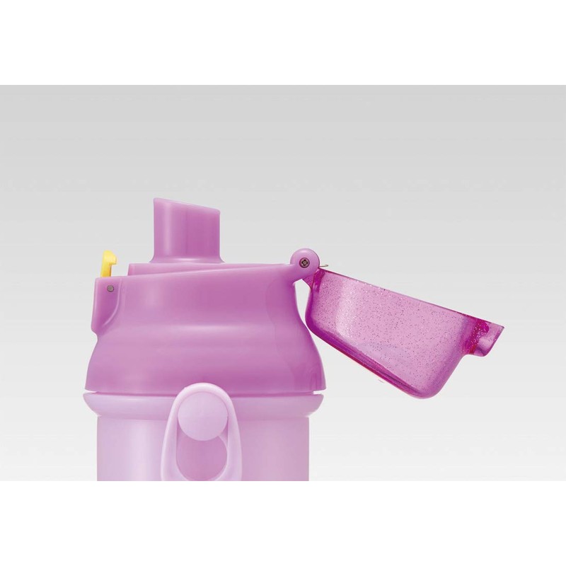 スケーター (skater) 子供用 プラスチック 水筒 ラプンツェル ディズニー 2020年 新デザイン 480ml