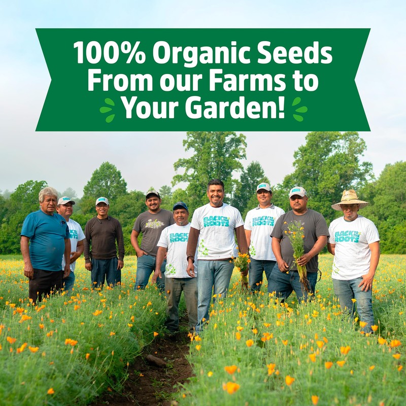 Back to the Roots Organic Herb Seeds Variety (5-Pack)