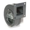 Dayton 1TDN4 Shaded Pole Blower, 115 Volt