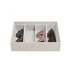 Stackers Putty Croc Textured Classic Medium Jewellery Box Sunglasses Layer